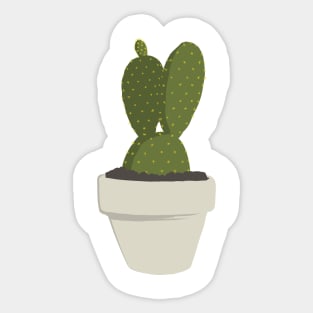 CNS Opuntia Microdasys Sticker